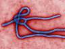 Ebola-Google imagens
